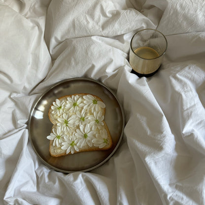 Stainless Steel Plate