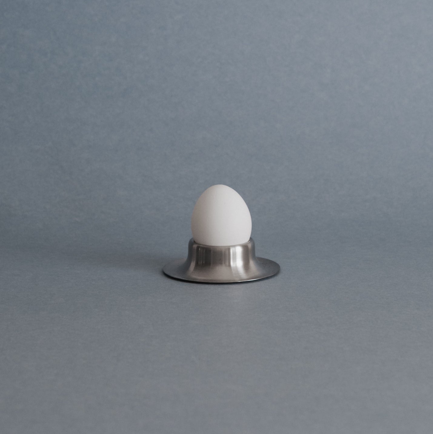Stainless Steel Egg Holder