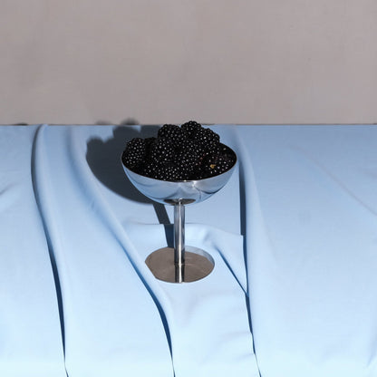 Stainless Steel Dessert Coupe